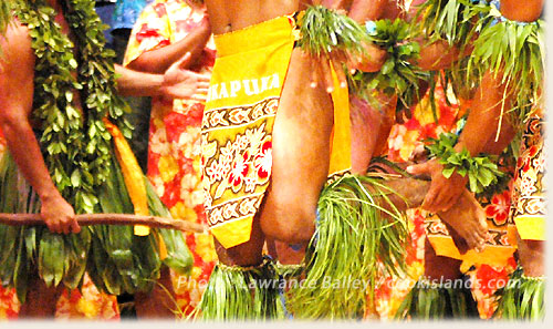 provided by sokalavillas.com / cookislands.com