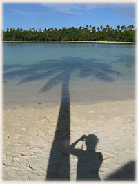 Me, myself, I and the coconut tree ;-)