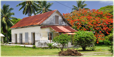 Old house and Flametree