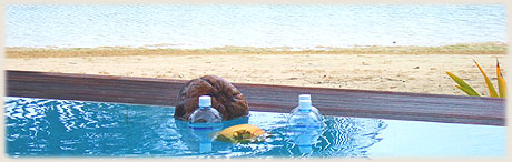 Pool, Wasserflaschen, Lagune, Kokosnuss voll Wasser / Strand / Fotos: Archi